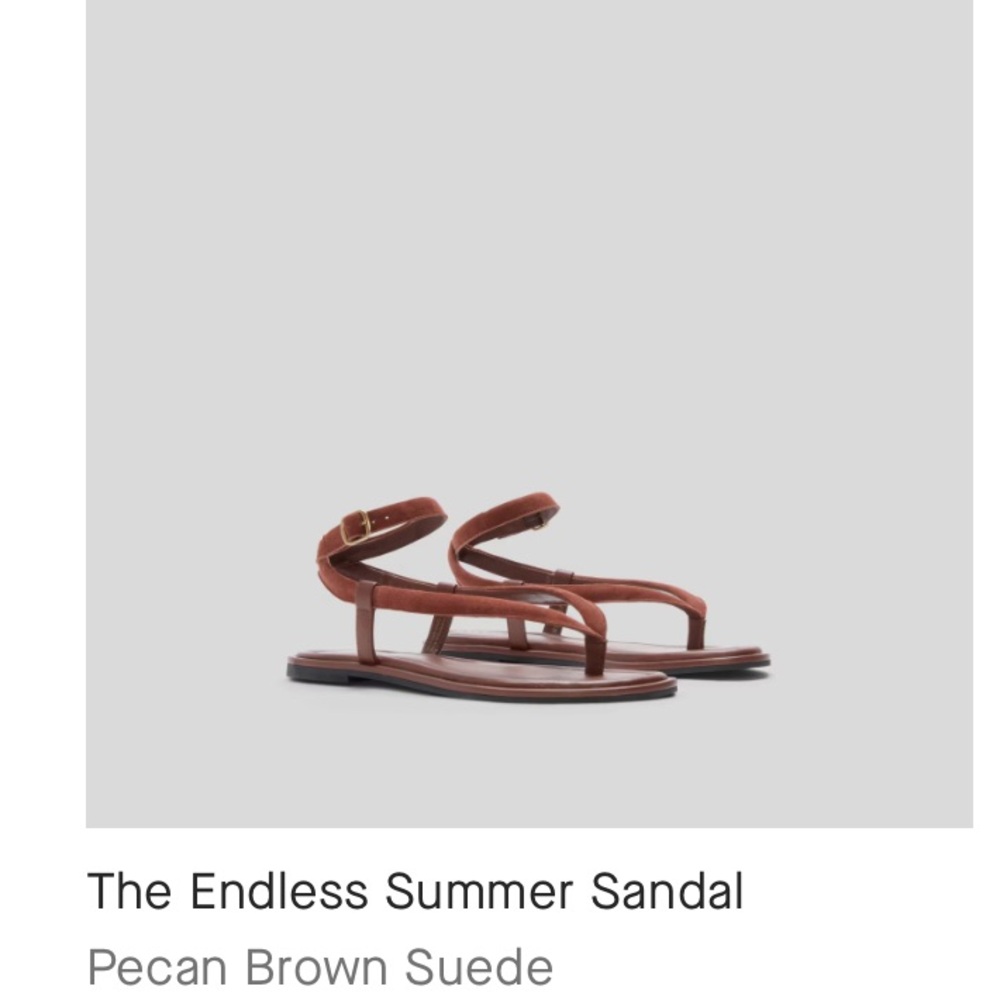 Everlane Chocolate Brown Leather Sandals